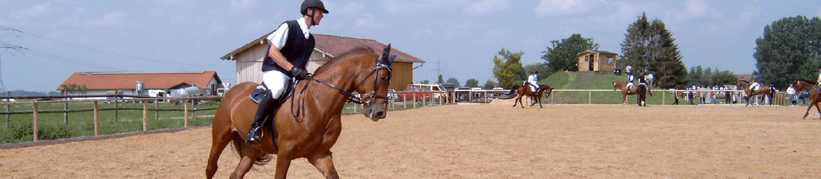 sol-carriere-equestre système de sol pour carrière équestre